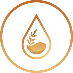 ENKI Protocol